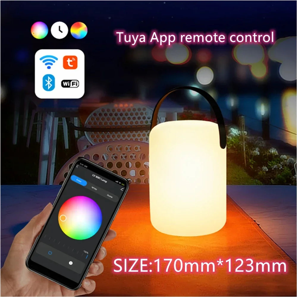 Colorful Portable Tuya