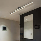 Long Aluminium