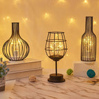 1PC Indoor Iron Wire