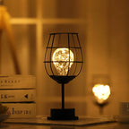 1PC Indoor Iron Wire