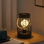 1PC Indoor Iron Wire