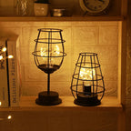 1PC Indoor Iron Wire