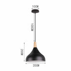 Modern Wood Pendant Lamps