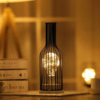 1PC Indoor Iron Wire